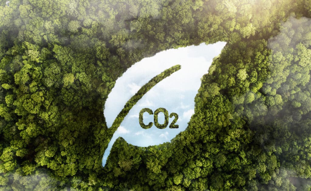 Une feuilles blanche avec l'inscription CO2 au dessus d'une forêt pour exprimer la réduction de CO2