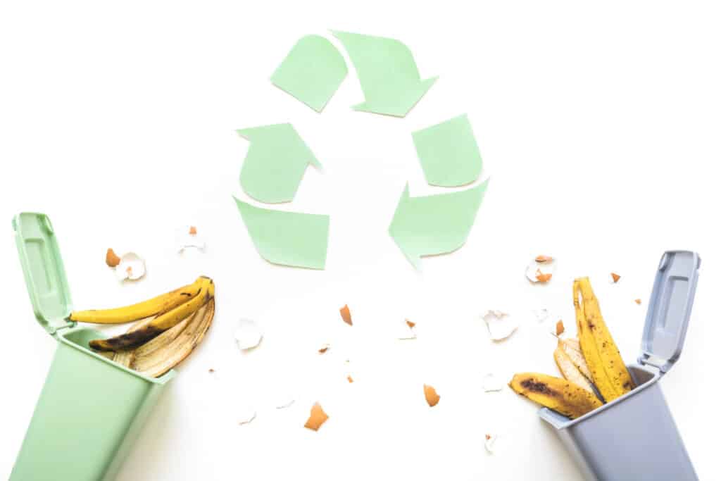 Deux bacs à ordure de couleur vert et violet pastel d'où sortent des peaux de bananes et des éclats de coquilles d'oeufs. Le logo de recyclage de couleur vert pastel se trouve au dessus des bacs à ordure.